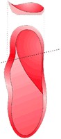 Formthotics Formthotics