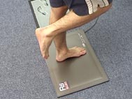 stabilita stabilita